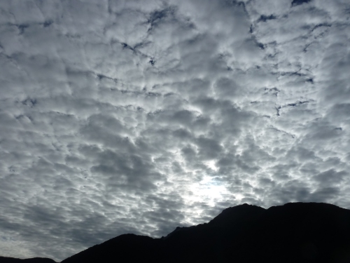 Cotton Ball Clouds in Milford Sound.